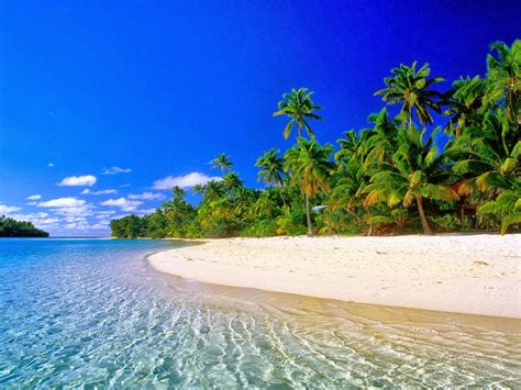 andy foto natura playas paradisiacas