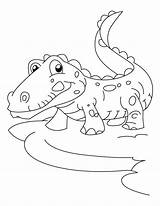 Alligator Crocodile Krokodil Joyful Coloringhome sketch template