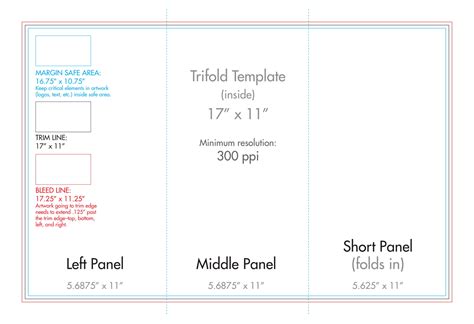 trifold format calepmidnightpigco   fold brochure template