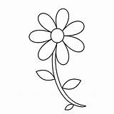 Flower Coloring Stem Pages Outline Clipart sketch template