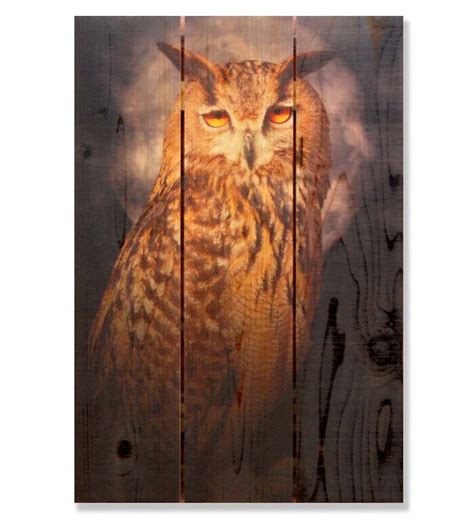 handcrafted owl wooden wall art  gizaun art gizaun art wall art