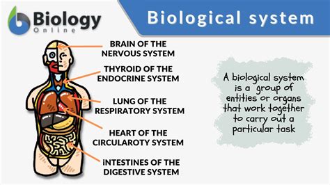 biological approach psychology definition biological approach