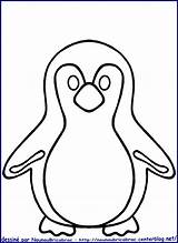 Pingouin Colorier Clipart Bird Recherche Google Banquise sketch template
