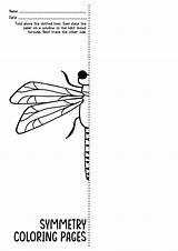 Symmetry Pages Coloring Insects Worksheets Kids Bug Insect Worksheeto Activity Via sketch template