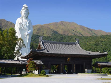 tsz shan monastery attractions  tai po hong kong