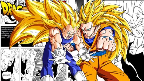 Dragon Ball Z Super Saiyan 3 Vegeta Vs Super Saiyan 3 Goku Fan Manga