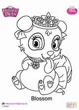 Coloring Pets Palace Pages Blossom Dot sketch template