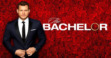 bachelor tv show abccom