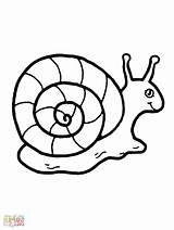 Snail Drawing Coloring Pages Getdrawings Simple Kids sketch template