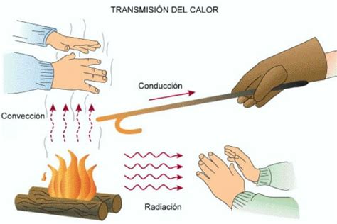 Formas En Que Se Transmite El Calor Arbol