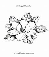 Magnolias Blossom Fiori Ms Bronwyn Stamps sketch template