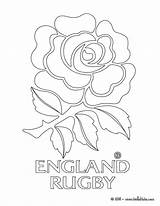 Rugby England Coloring Pages Team Drawing Football Template Color Print Coloriage Colouring Angleterre Dessin Play Blason Teams Getdrawings Roses Hellokids sketch template