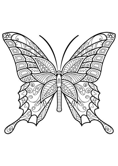 butterfly beautiful patterns  butterflies insects adult coloring pages
