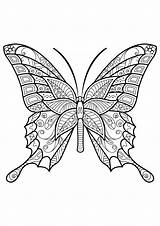 Schmetterling Papillon Coloriage Colorare Insetti Schmetterlinge Adultos Adulti Erwachsene Mandala Adult Insectos Ausmalbilder Mariposas Papillons Malvorlagen Motifs Mandalas Ausmalbild Insekten sketch template