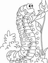 Coloring Pages Butterfly Caterpillar Getdrawings sketch template