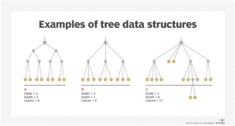 tree structure  databases definition  searchdatamanagement