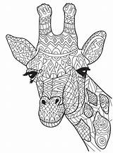 Coloring Pages Giraffe Adults Mandala Adult Cute Printable Color Head Print Animal Who People Choose Board Visit Africa Crafts Inquisitr sketch template