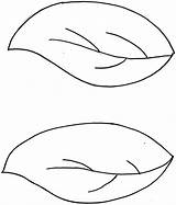 Leaf Template Apple Clipart Library Drawing sketch template