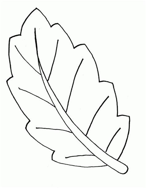 leaf shapes  print coloring home