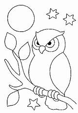 Owl Buhos Riscos Coruja Corujas Pintura Mewarnai Eulen Jana Burung Hantu Kain Os Embroidery Imprimir Naptol Cantinho Noite Vorlage Moli sketch template