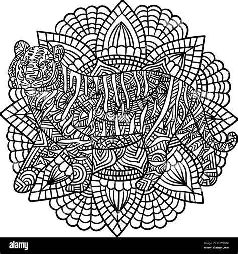tiger mandala coloring pages  adults stock vector image art alamy