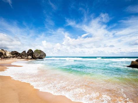 beaches  barbados caribbean travel inspiration