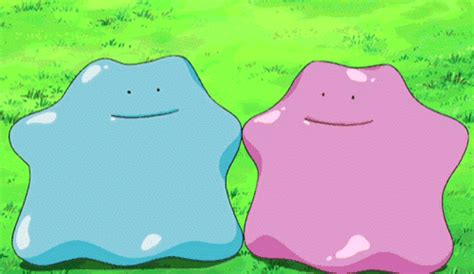 Ditto Wiki Pokémon •go• Amino