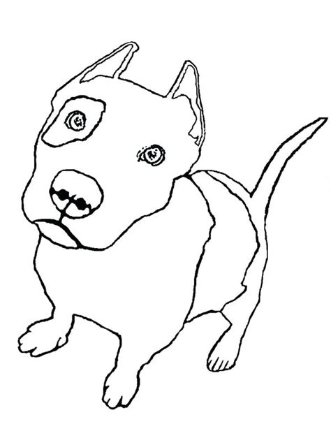 realistic pitbull coloring pages  getcoloringscom  printable