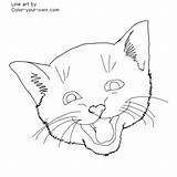 Meow Coloring Kitten Color Cat Own sketch template