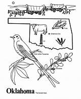 Oklahoma Coloring State Outline Pages Map Printables Usa Flower Sheet History Worksheets Shape Ok States Kids Sheets Printable Grade Geography sketch template