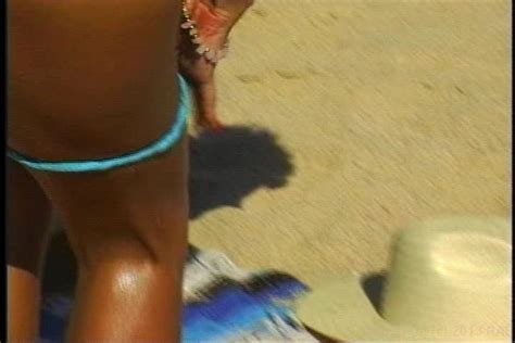bikini beach 4 videos on demand adult dvd empire