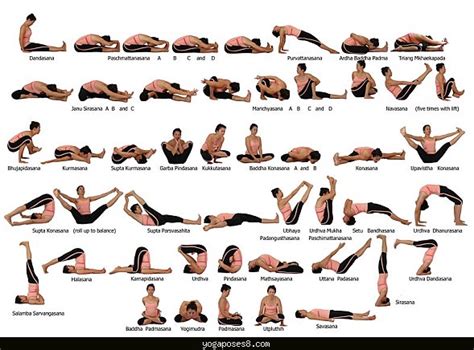 100 yoga poses