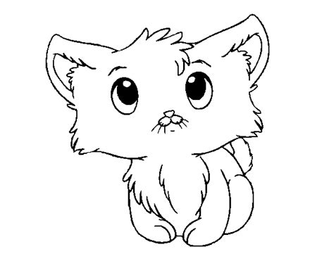 cute kitten coloring page coloringcrewcom