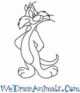 Looney Tunes Sylvester Drawings Draw Toons Drawing Easy Print Tutorial Getdrawings Paintingvalley Steps sketch template