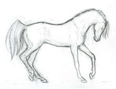 arabian horse head drawing  getdrawings