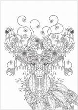 Coloring Deer Pages Christmas Adult Flower Flowers Adults Tree Patterns Branches Nature Leaves Floral Colouring Magnificent Drawn Elements Inspired Printable sketch template