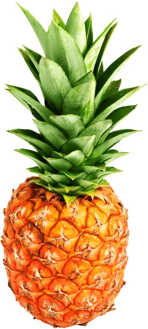 pineapple png images transparent   pngmart