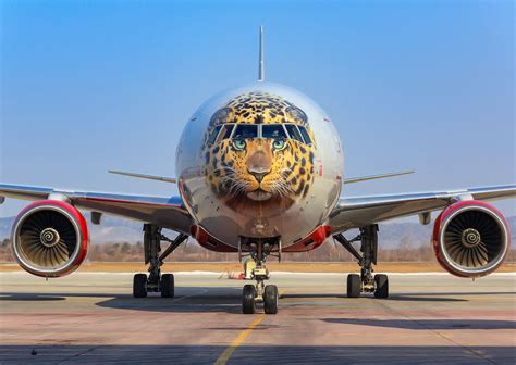 airplane liveries   world   meanings