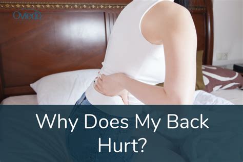 Why Does My Back Hurt Oviedo Chiropractic