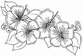 Hawaiian Hibiscus Educative Educativeprintable Sheets sketch template
