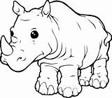 Coloring Rhino Baby Getcolorings Rhinoceros sketch template