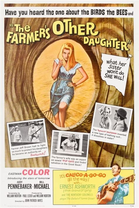 the farmer s other daughter 1965 — the movie database tmdb