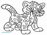 Coloring Cheetah Pages Baby Jaguar Cartoon High Leopard Animal Drawing Printable Color Costa Rica Little Quality Snow Easy Smart Animals sketch template