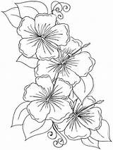 Coloring Hibiscus Flower Pages Flowers Printable Print sketch template