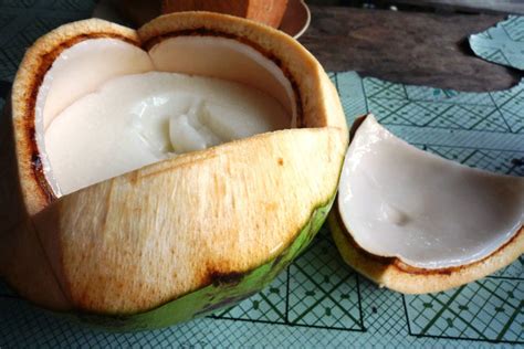 12 amazing benefits of drinking coconut water during pregnancy