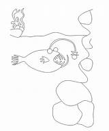 Angler Fish Coloring Pages Kids sketch template