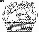 Cesta Fruta Variada Colorearjunior Fruits Różnorodnych Kosz Variadas Kolorowanki Owoce Coma Owoców Visitar Enumerativa sketch template