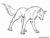 Wolf Coloring Pages Print Angry Printable Color sketch template
