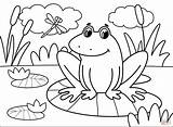 Coloring Frog Pages Printable Frogs Supercoloring Drawing Cartoon Paper Colorings Work Animals Categories sketch template