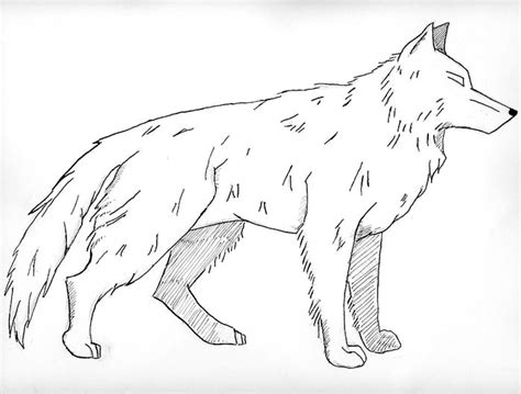 wolf outline coloring pages
